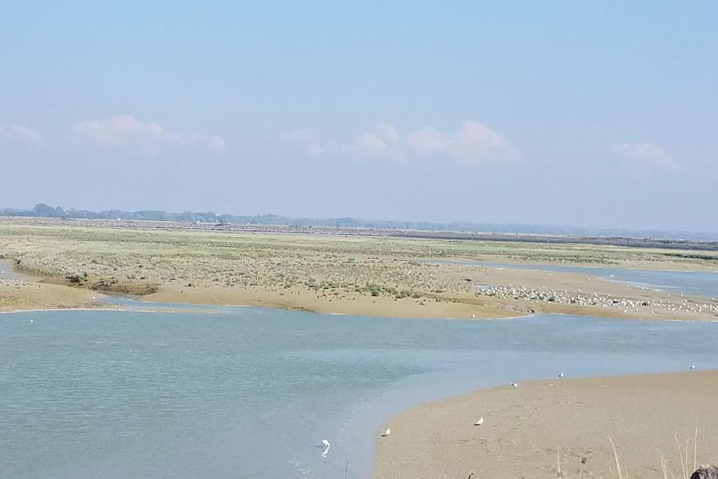 Superbe Studio Au Crotoy Acces Direct Plage Le Crotoy Esterno foto
